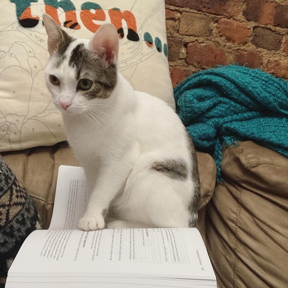 Meet your Posher, Yelle - Picture 2 of 9